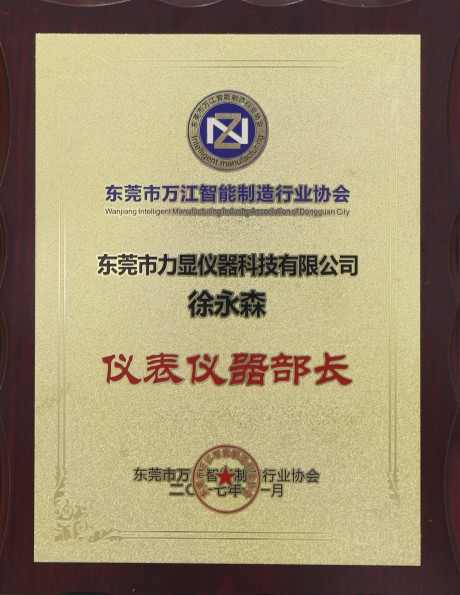 Director of Instrumentation and Instrumentation